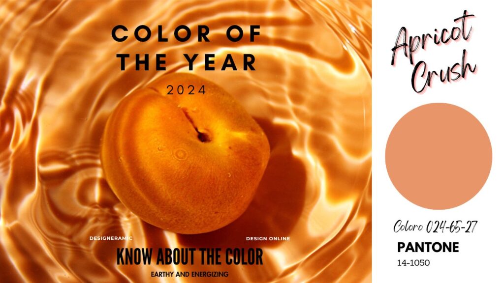 رنگ سال 2024 | Apricot Crush مجله مد و فشن بانو سکرت
