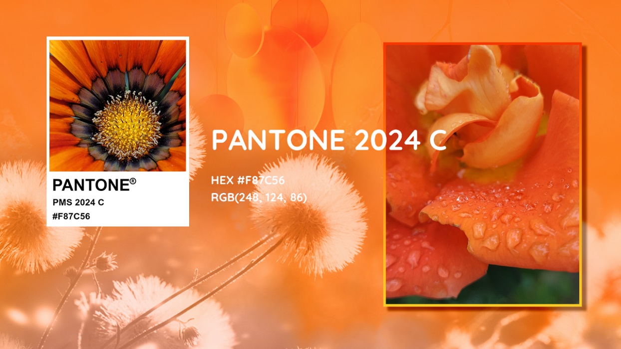 رنگ سال 2024 در طراحی | Apricot Crush مجله مد و زیبایی بانو سکرت